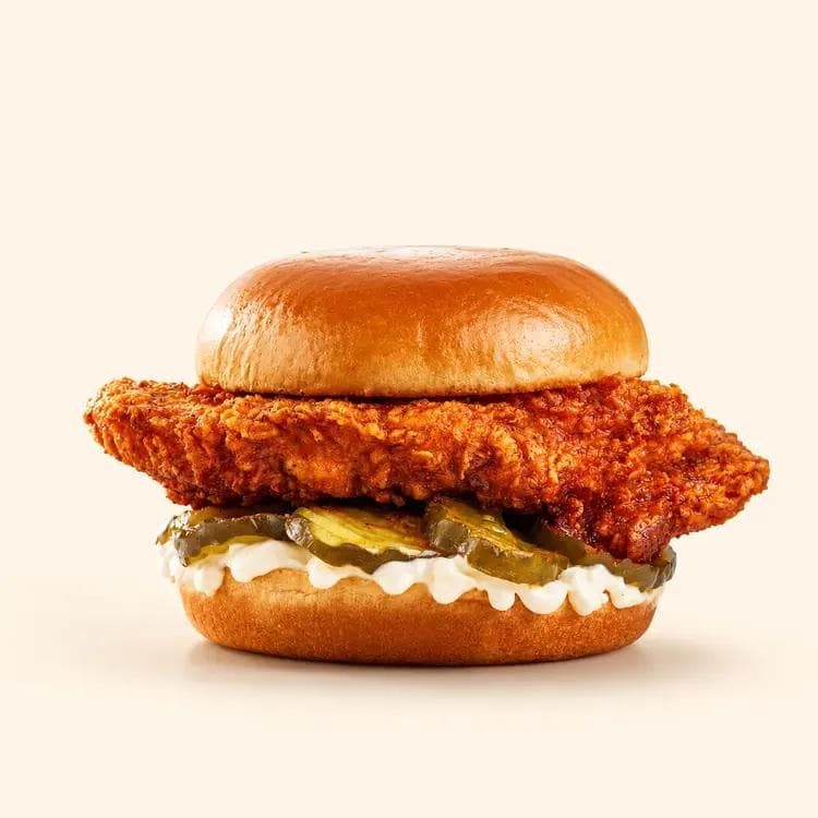 The Best Nashville Hot Chicken Sandwich